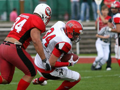 Skorpione zu Gast in Marburg