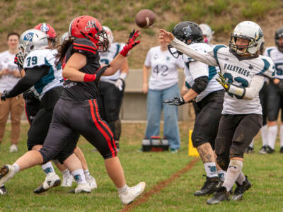 29.08.2026: Limburg Valkyries vs.Marburg Mercenaries Ladies